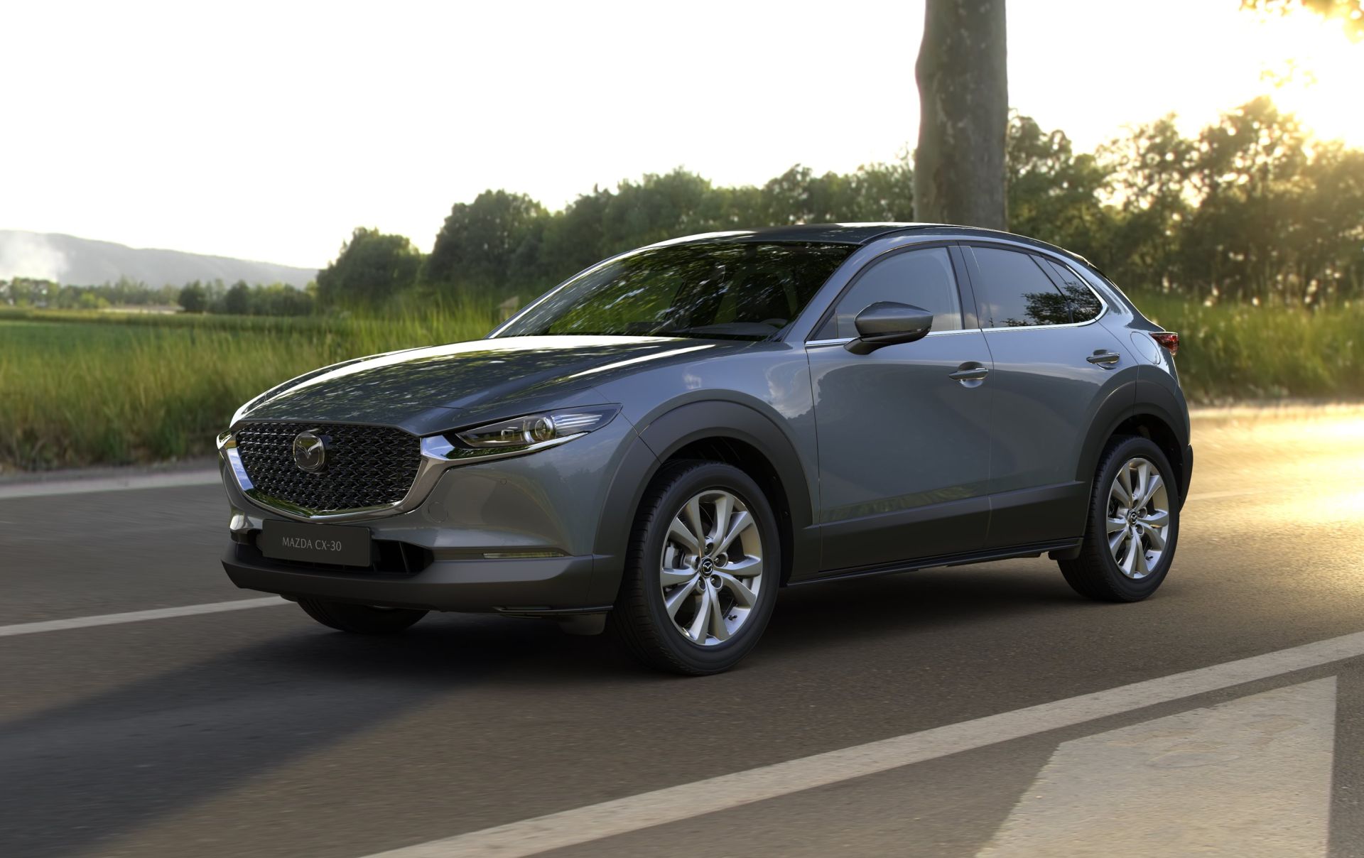 daar ben ik het mee eens fabriek spellen ZZP'er: auto privé houden of op de zaak zetten? - Mazda Blog
